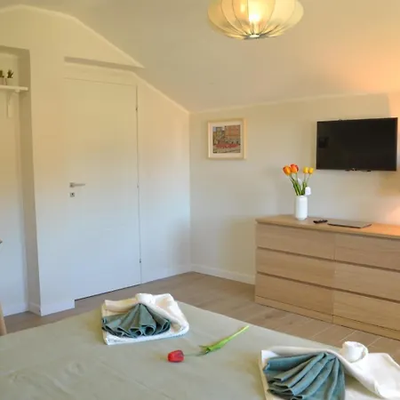 Nike Роккамонфина