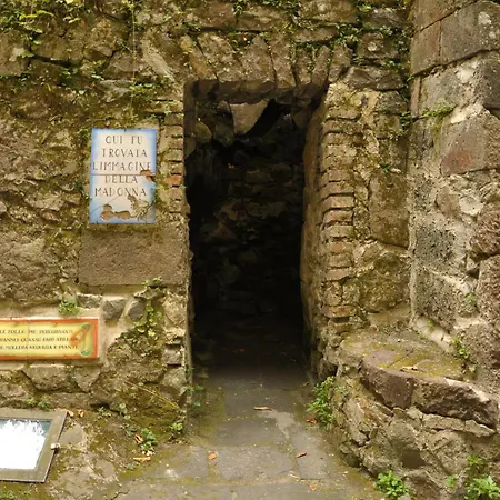 Апартаменты Nike