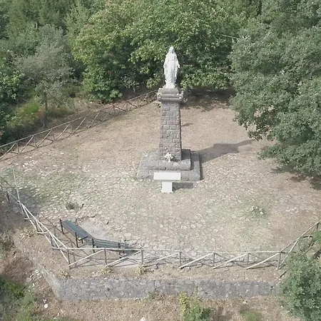 Nike Роккамонфина